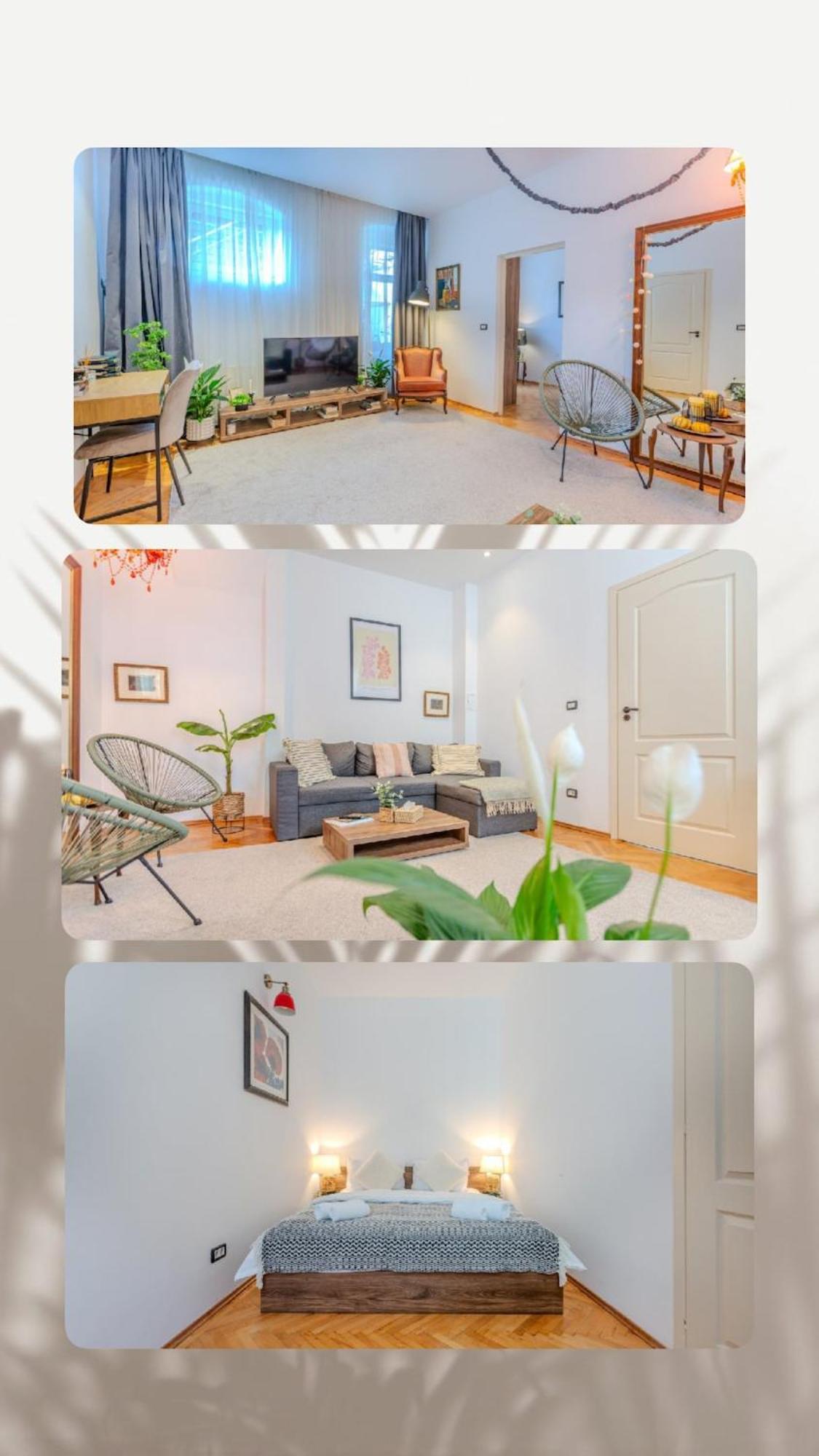 Apartament Vibe Parter *
